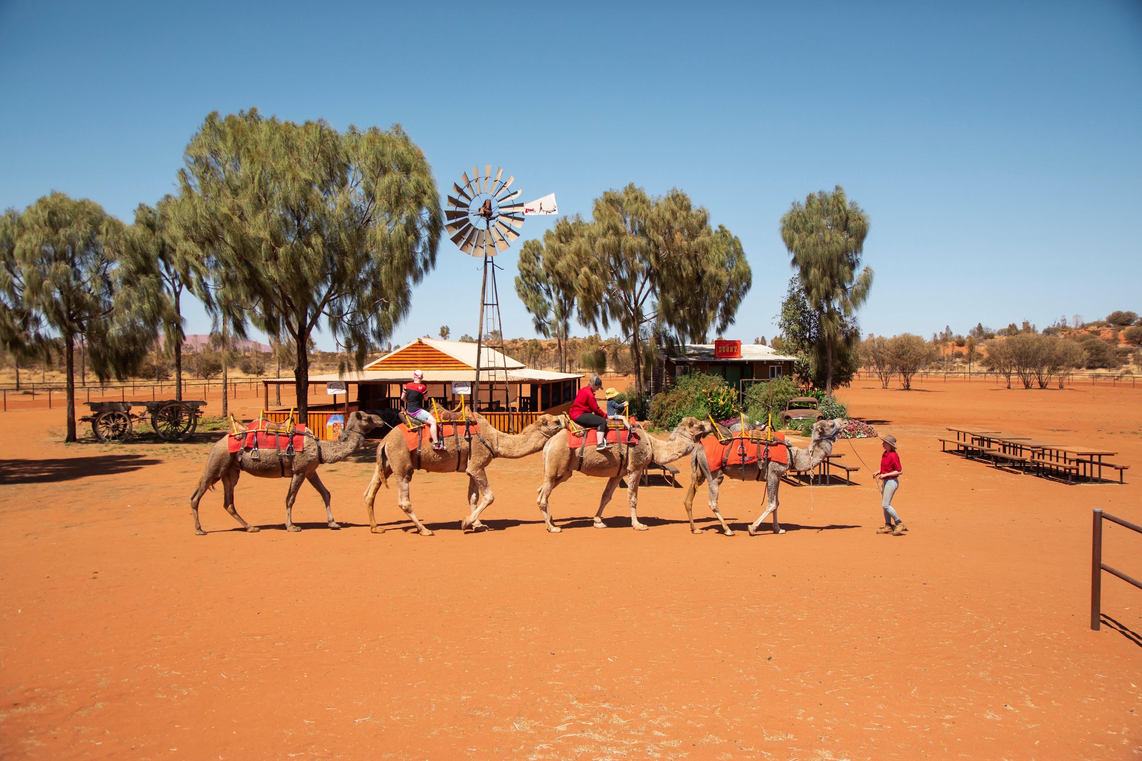 camels